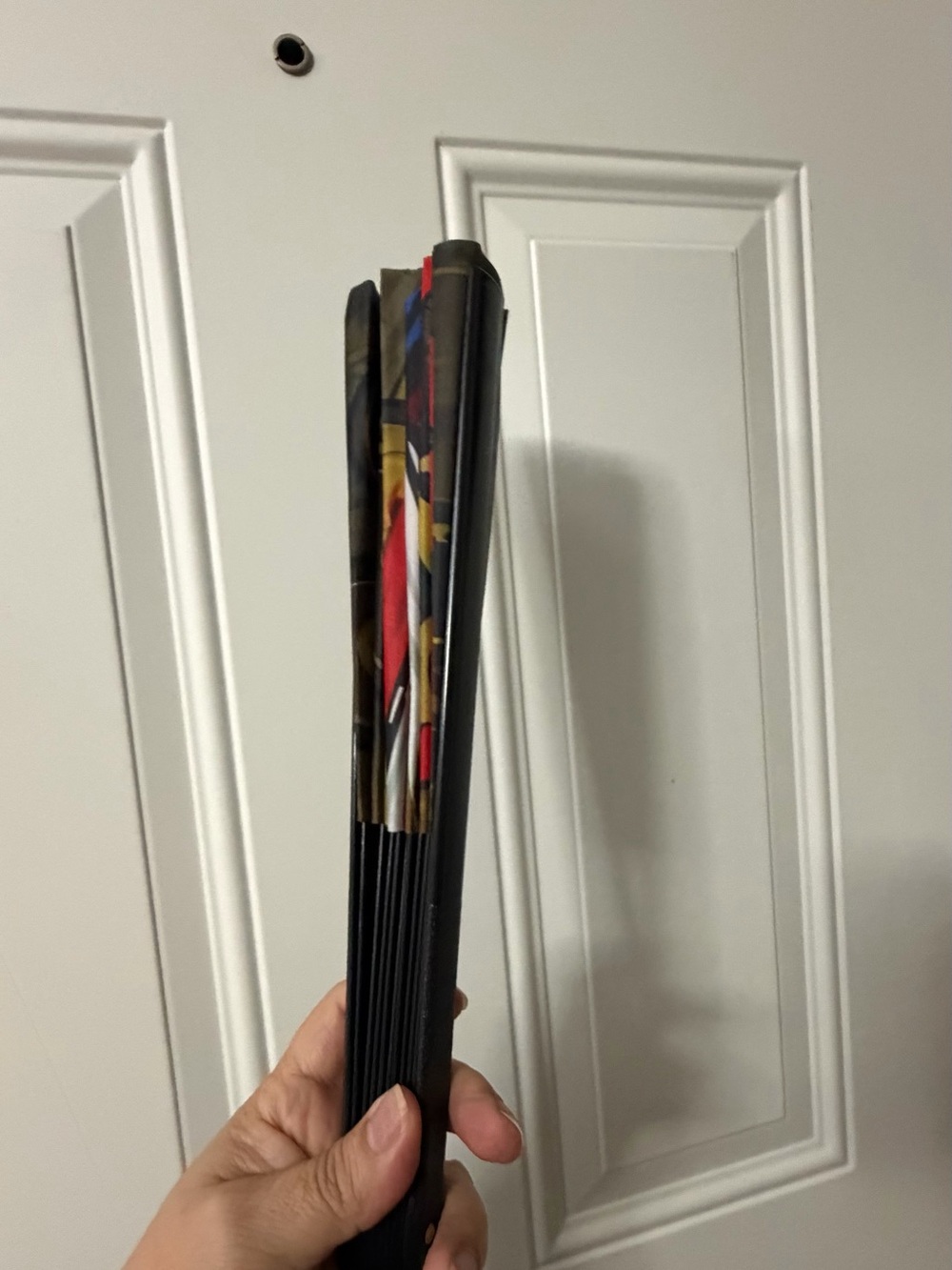 Puerto Rico Folding Hand Fan - Picture 7 of 8